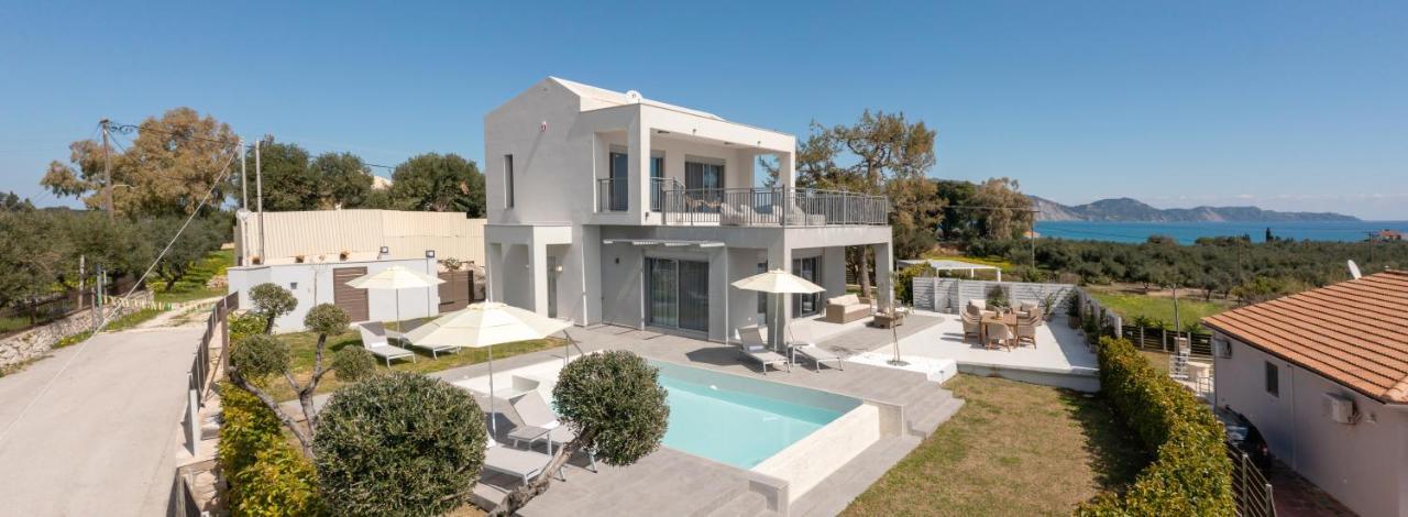 Villa Nick Art Lithakia  Exterior foto